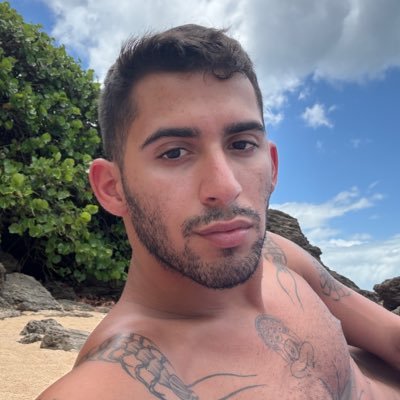 sting dion's profile picture