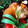 ⭐︎CO358⭐︎ profil fotoğrafı