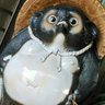 tatuya345373's profile picture