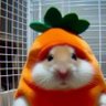 Profilbild von tan