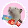 はねこ目薬 的头像