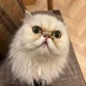 Profilbild von mimi