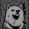Dawggy profil fotoğrafı