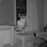 djun0209 profil fotoğrafı