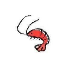 ࣪ ˖🦐.ᐟ's profile picture