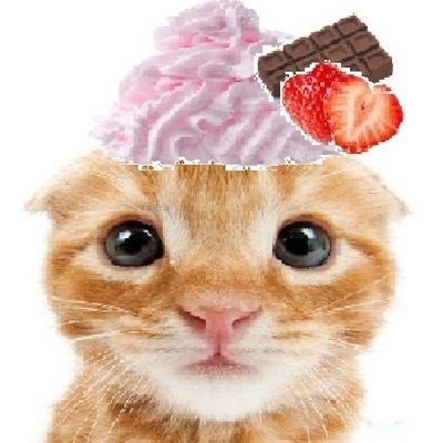 mochi 🍰's profile picture