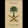 💙المها بنت عبدالعزيز 💙😍💙's profile picture