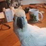 einzelkind profil fotoğrafı