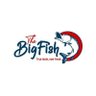 BIGFISH🐠 profil fotoğrafı