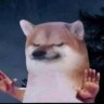 bonggola's profile picture