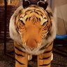 deco*27's tiger plush 的头像
