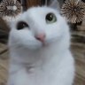 Profilbild von hjErGtH