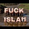 Love Trump عاشق ترامپ (Free Iran) 🇮🇷🇮🇱🇺🇸 的头像