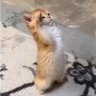 C profil fotoğrafı