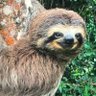 Profilbild von Test