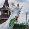 Фото профиля Eşref Çift