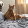 PatriotM profil fotoğrafı
