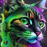 Mari 🌈🎢🎪🇧🇷 profil fotoğrafı