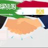 Profilbild von محمد بن عقيله