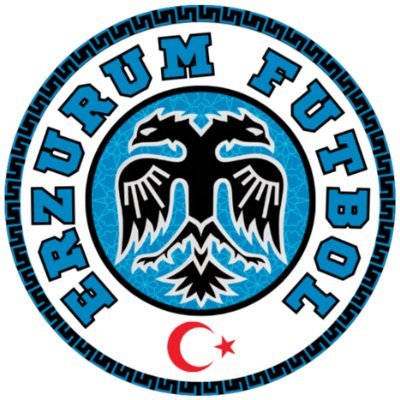 Erzurum Futbol's profile picture