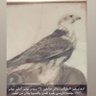غانـم العليثـات ابو حمد profil fotoğrafı