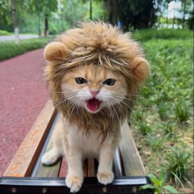 LE0O822's profile picture