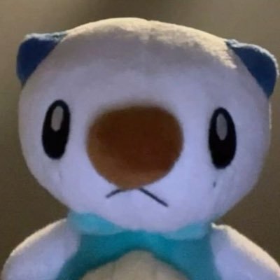 enzo's profile picture