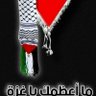 نصر مثنى 的头像