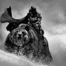 Noah profil fotoğrafı