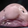Montee's profile picture