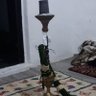Фото профиля محمد الردمي