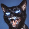 roman’s feline✖️'s profile picture