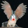 Фото профиля ⁺‧₊˚ ཐི⋆♱ 𝖆𝖚𝖌𝖚𝖘𝖙 ♱⋆ཋྀ ˚₊‧⁺