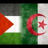 Titou Ninou's profile picture