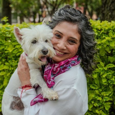 dmartinezvalero's profile picture