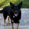 Duke Says profil fotoğrafı