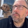 Steve Holmes's profile picture