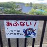 おかー's profile picture