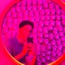 KingHarlequin's profile picture
