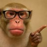 56" ka Chotta 🐒's profile picture