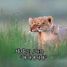 발코니음악's profile picture