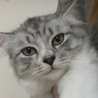 NameDave_'s profile picture
