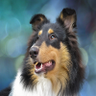 Profilbild von Gabriella Richardson