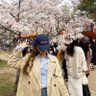 ゴマ鷹ちゃん profil fotoğrafı