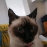and_then_we_die's profile picture