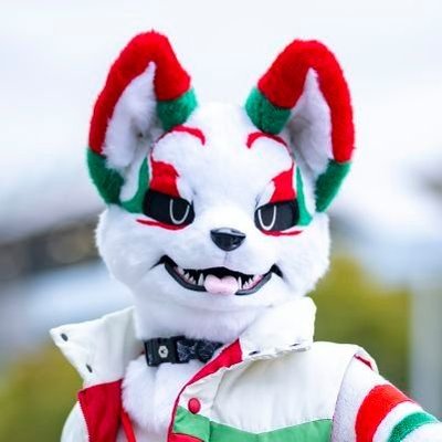 ふぁんわん's profile picture