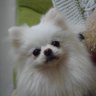 Фото профиля Ж TAKA_VAB Ж