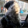 LXY profil fotoğrafı