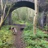 doghouse riley 的头像