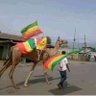 ዮናስ 的头像